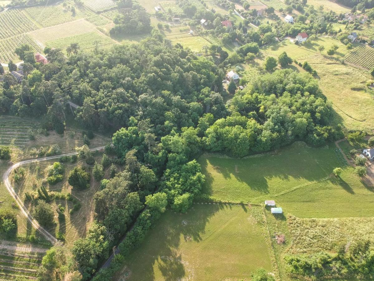 Pilikan Apartments - Park, Agroturism, Vineyard & Farm Cserszegtomaj Eksteriør billede