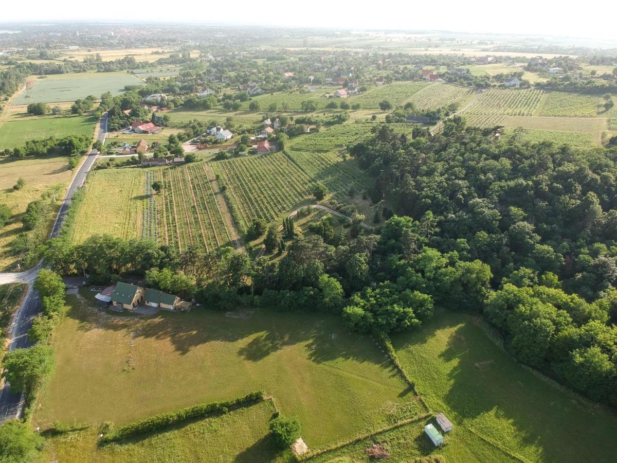 Pilikan Apartments - Park, Agroturism, Vineyard & Farm Cserszegtomaj Eksteriør billede