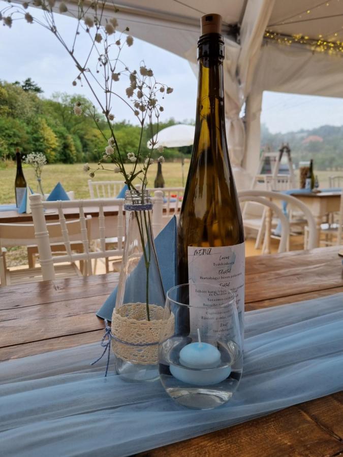 Pilikan Apartments - Park, Agroturism, Vineyard & Farm Cserszegtomaj Eksteriør billede